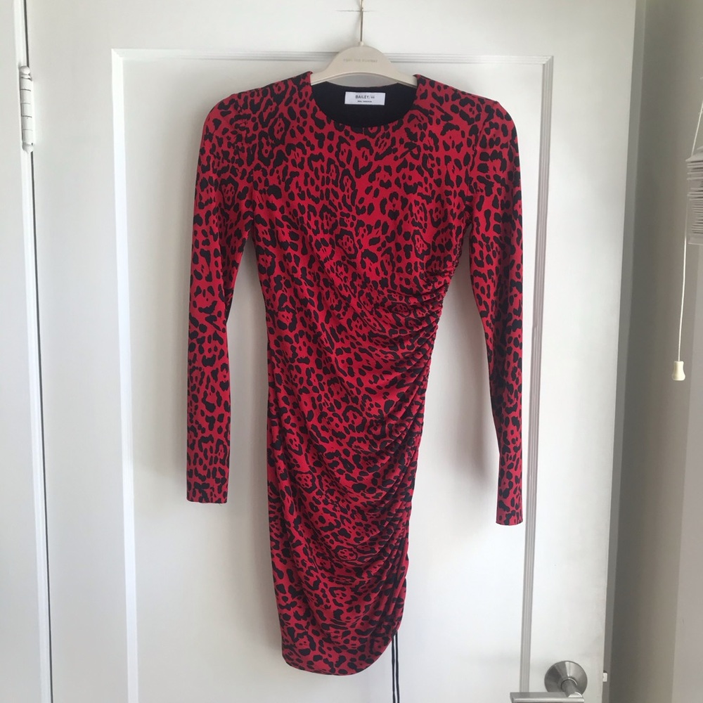 Bailey44 dress